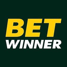 Discover the BetWinner Platform A Comprehensive Guide