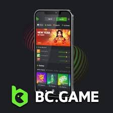 Connecting with BC.Game Your Guide to Contacting Support